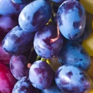 Grape Seed Extract